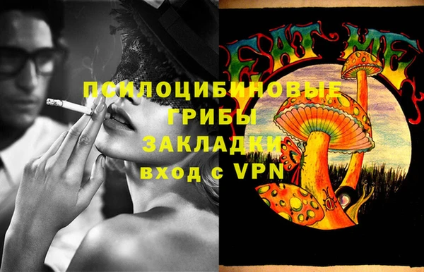 прущие грибы Бронницы