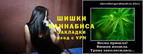 прущие грибы Бронницы