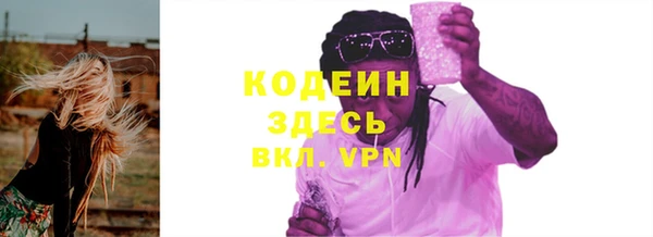 прущие грибы Бронницы