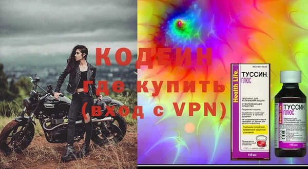прущие грибы Бронницы